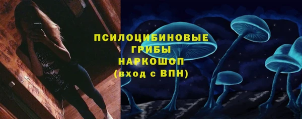 ешки Лагань