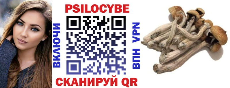 Псилоцибиновые грибы Magic Shrooms  где купить наркотик  Сураж 